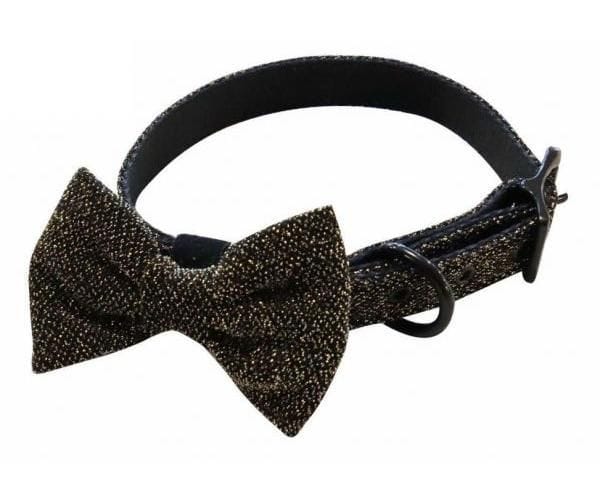 Collare croci per cani goldie