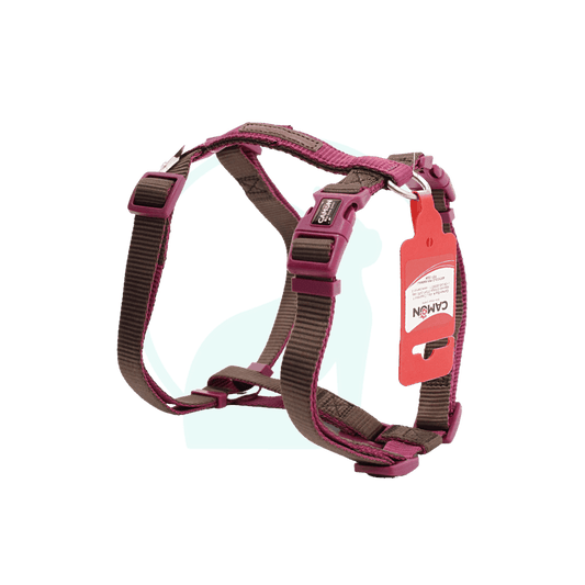 Camon Pettorina H Double Premium Marrone Ciclamino 10x250/400mm