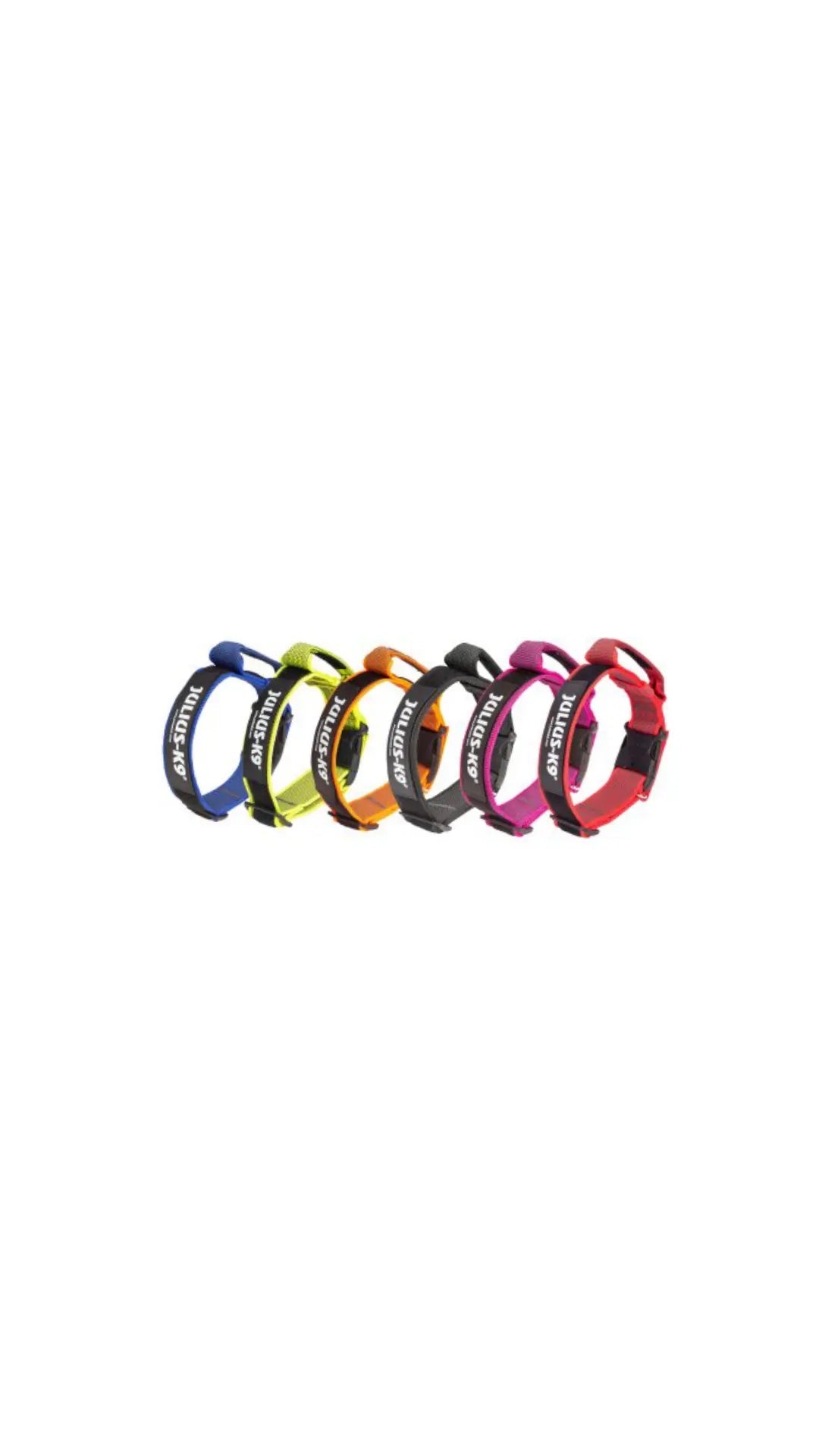 JULIUS K9 COLOR& GRAY COLLARE IN NYLON CON MANIGLIA