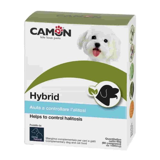 Camon Hybrid Epifora per cani o gatti
