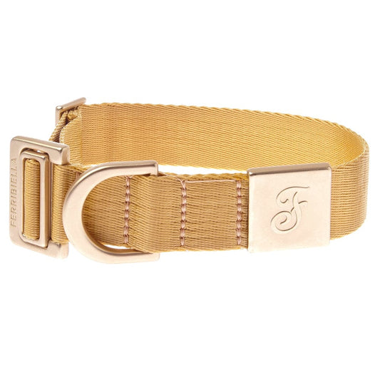 Collare Mida per cani - Ferribiella