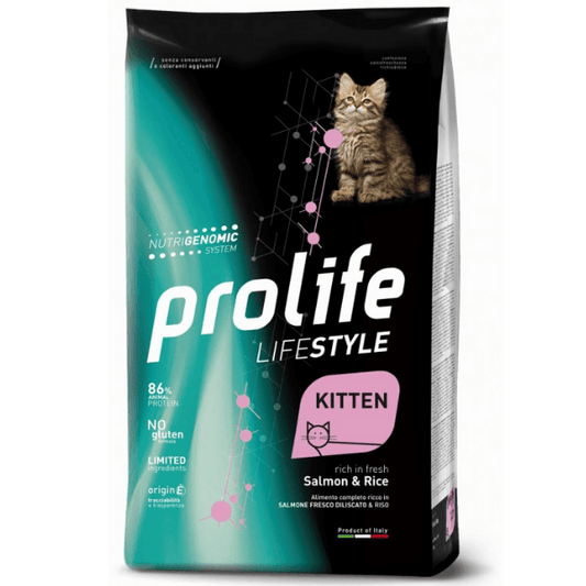 Prolife life style kitten
