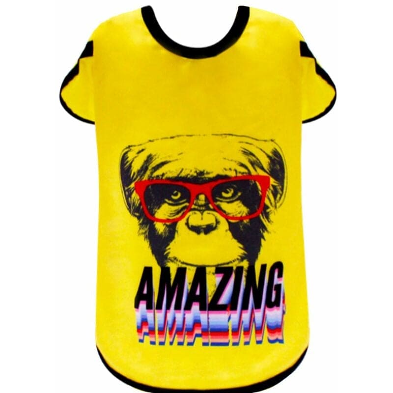 T-shirt con foro per guinzaglio modello Amazing per cani croci