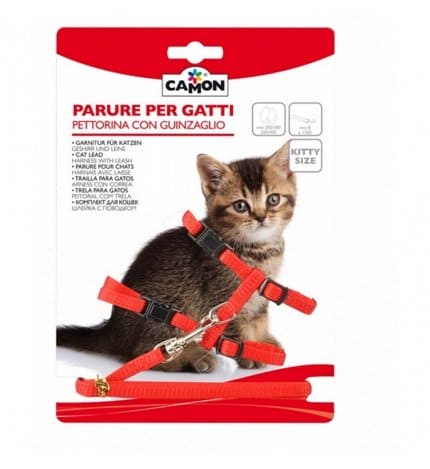 Camon collare+ pettorina per gatti kitten