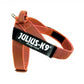 Pettorina Cane JULIUS-K9 IDC Belt Harnesses arancio