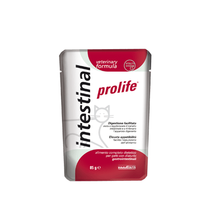 Prolife diet intestinal umido gatto 85gr